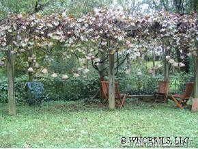 41 Oakwood Street #18 - Photo 8