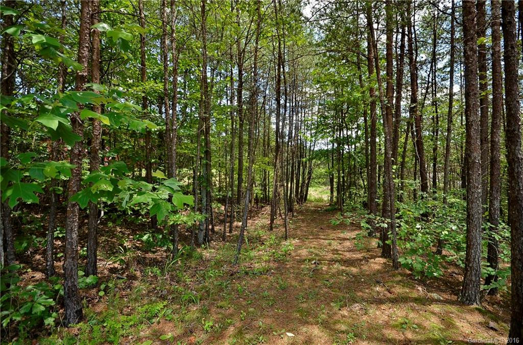 4334 Bills Creek Road - Photo 22