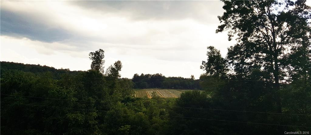 104 Lovely Lane #11 - Photo 4