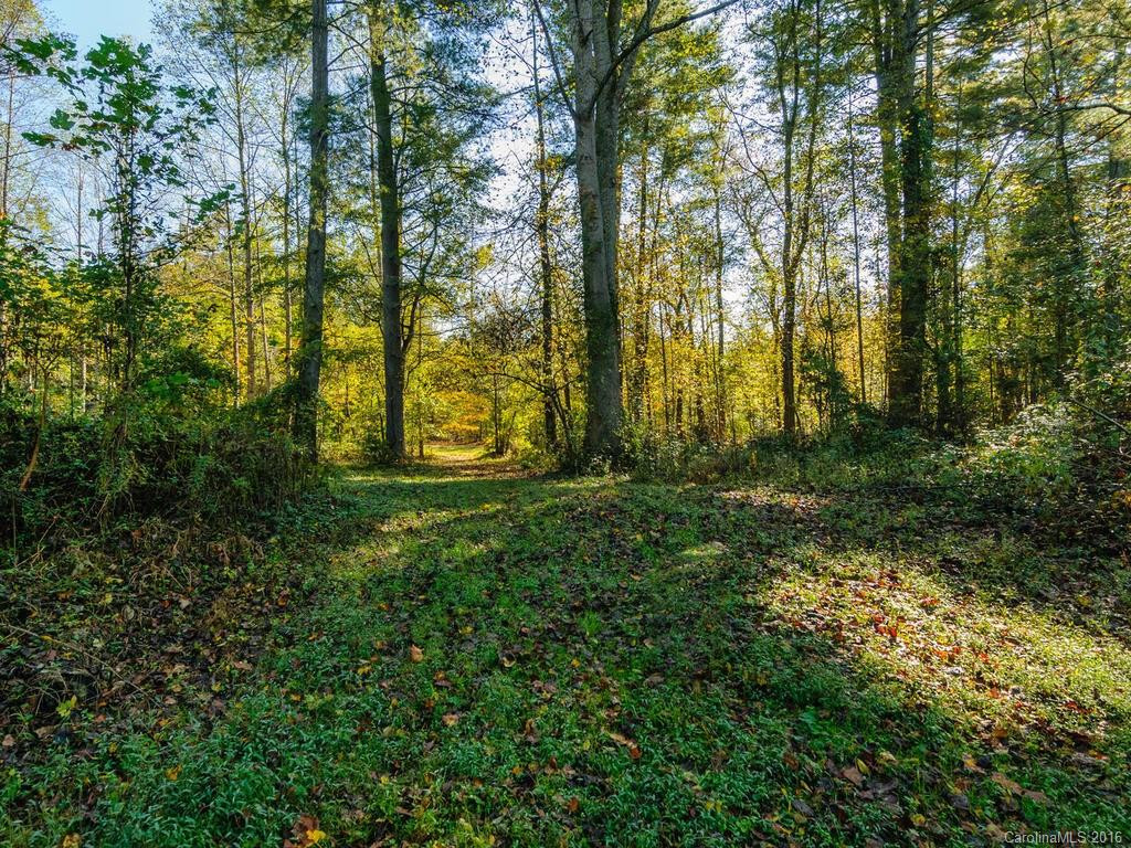 204 Hawkins Creek Road - Photo 22
