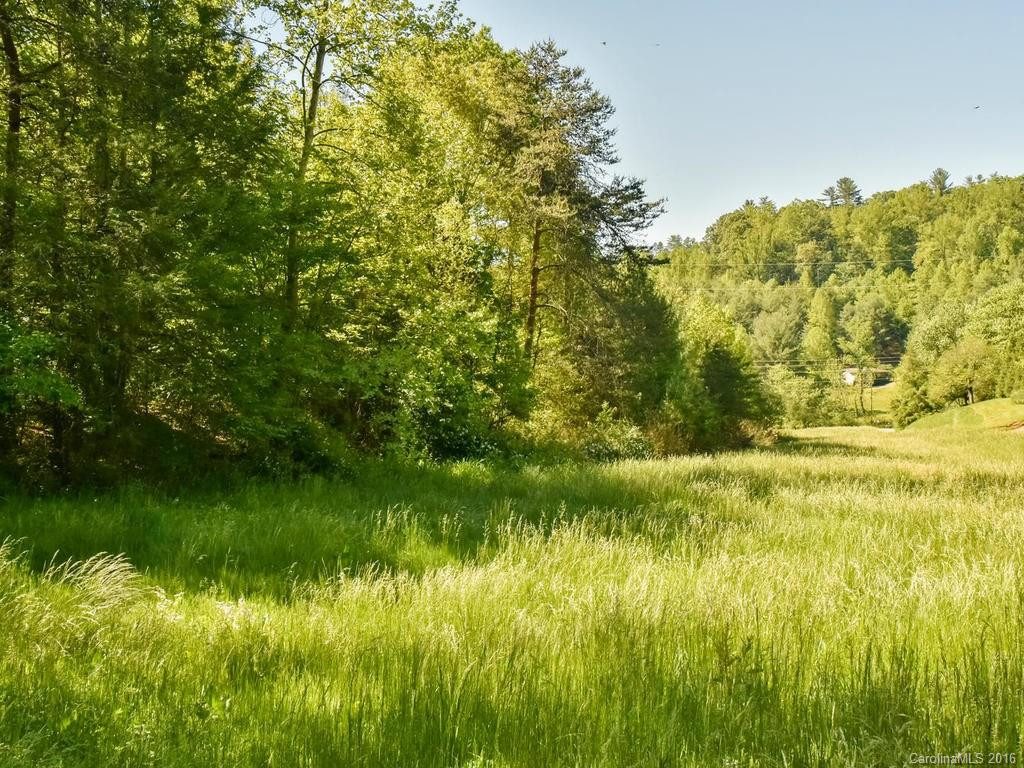 204 Hobson Branch Road - Photo 17