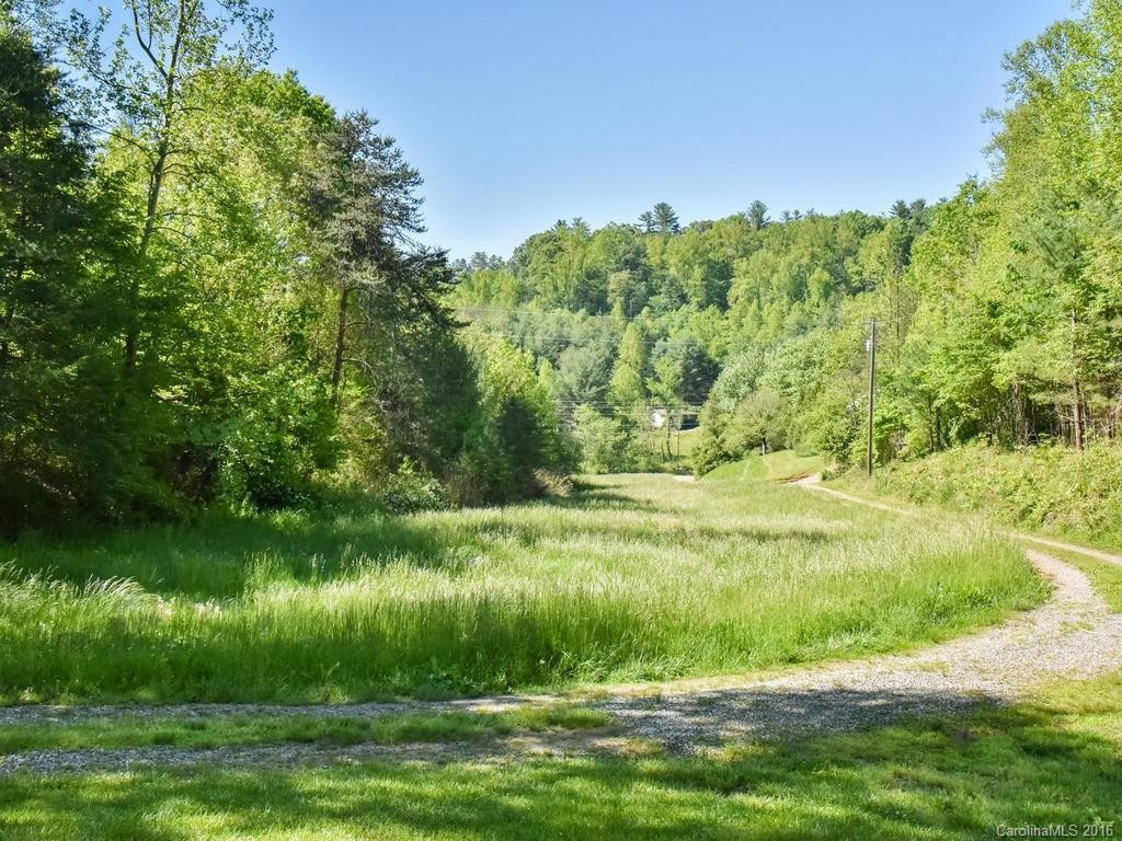 204 Hobson Branch Road - Photo 3