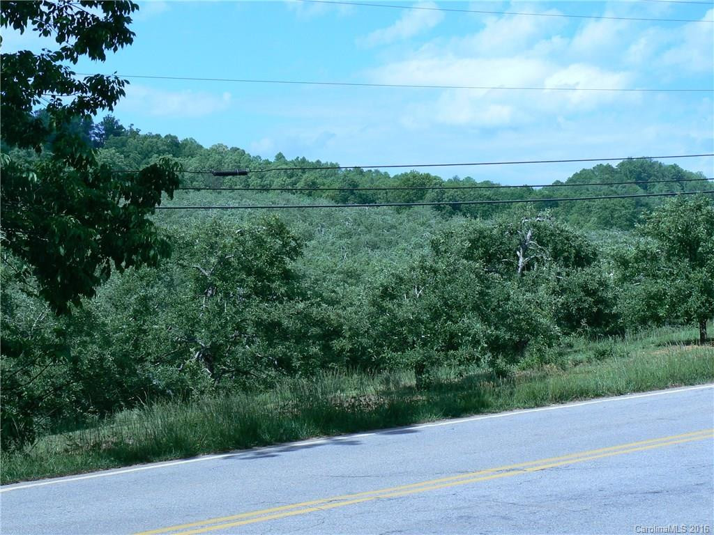 1866 Gilliam Mountain Road - Photo 13