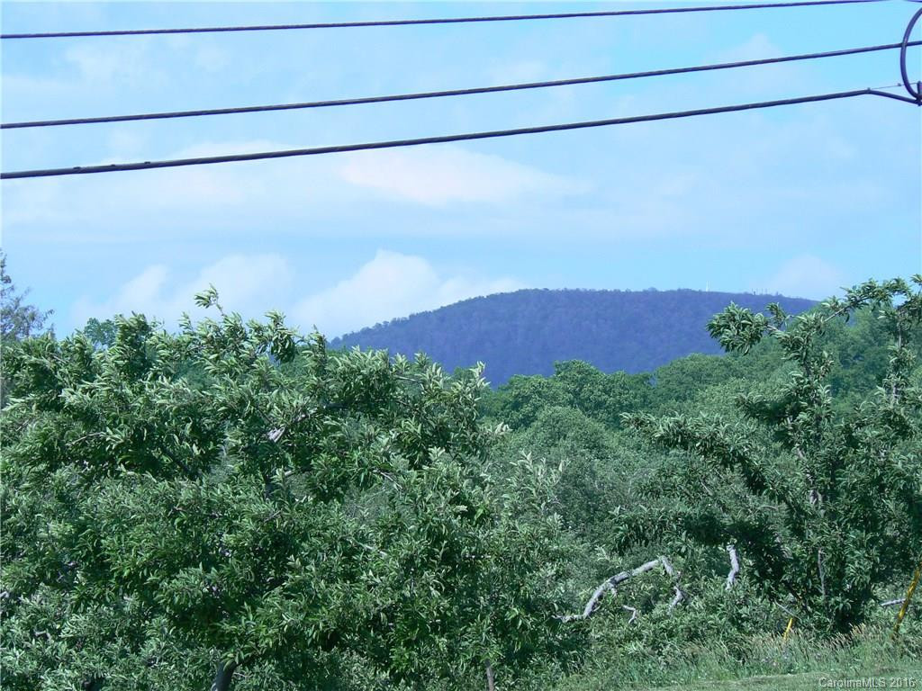 1866 Gilliam Mountain Road - Photo 14