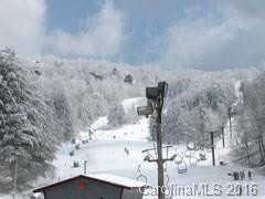 2541 Wolf Laurel Road #108 - Photo 23