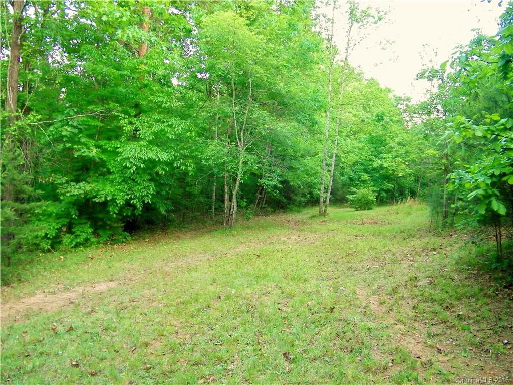 302 Rainbow Rapids Road - Photo 17