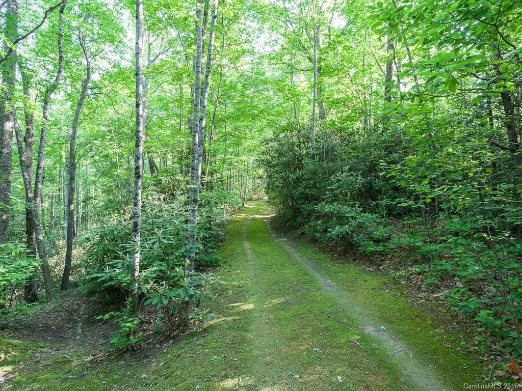 310 Lower Loop Drive - Photo 20