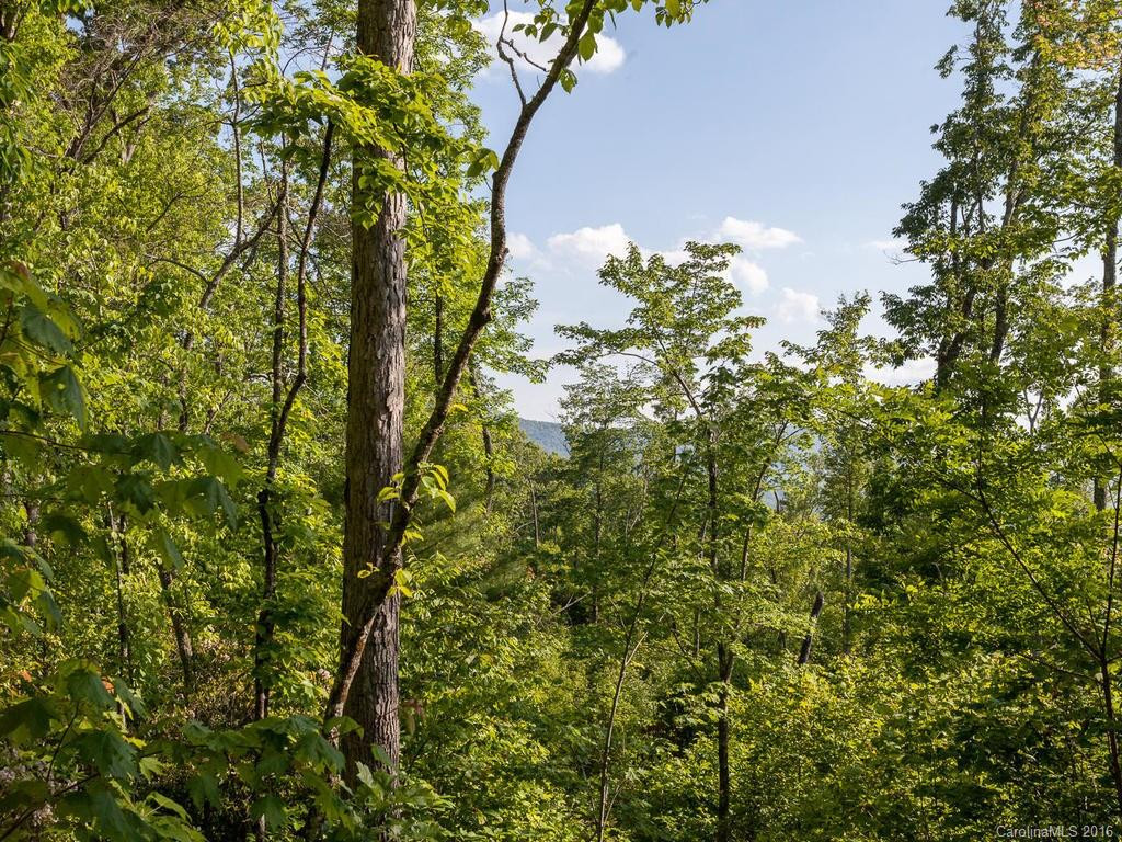 310 Lower Loop Drive - Photo 21