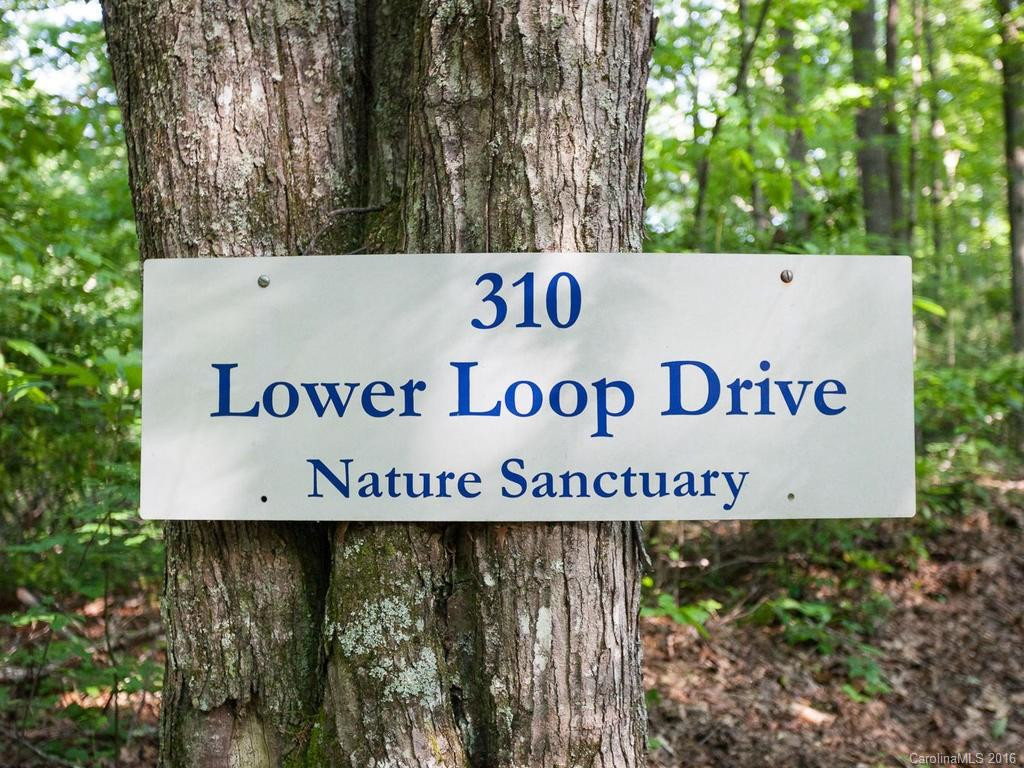 310 Lower Loop Drive - Photo 24