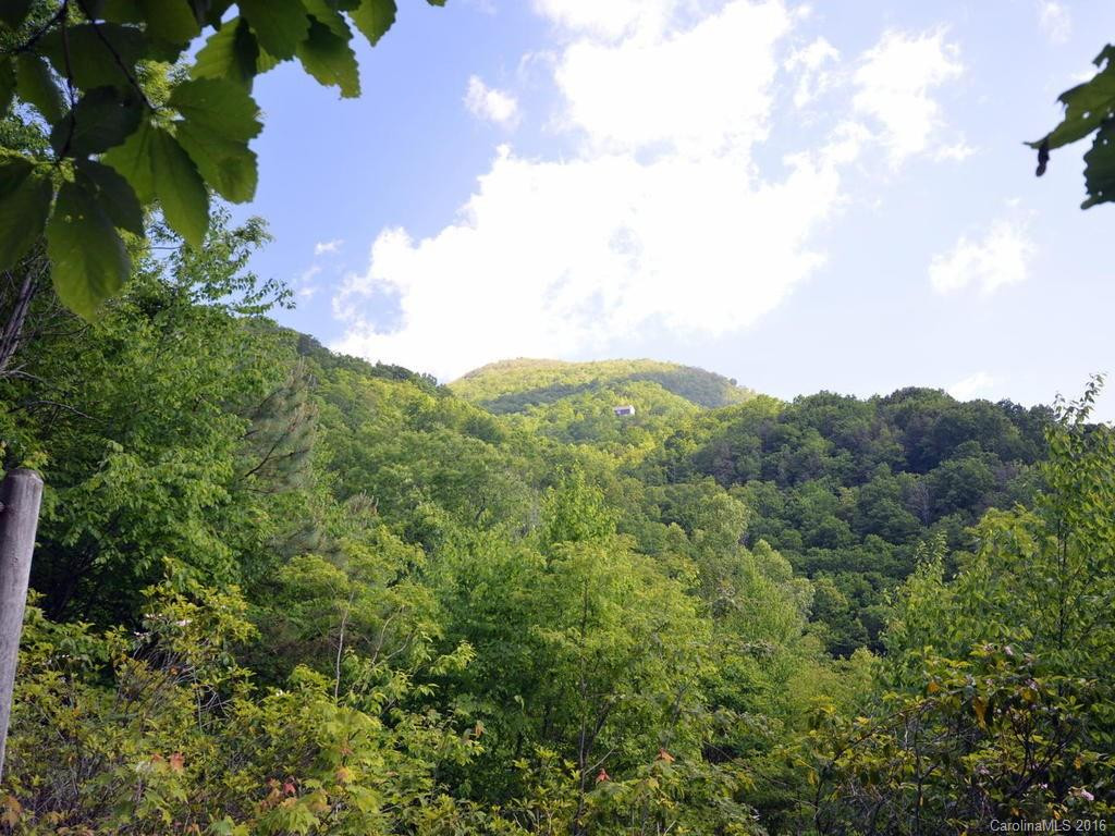 167 Saddle Drive - Photo 6