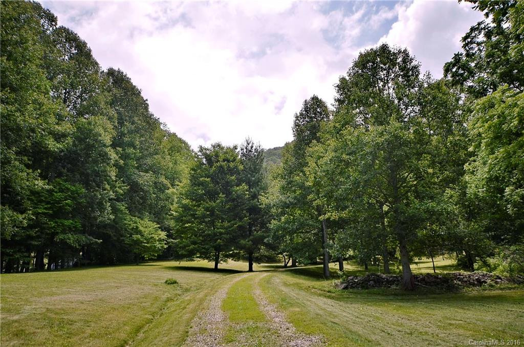 1364 Turkey Creek Road - Photo 2