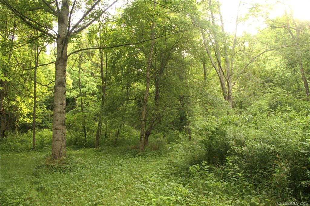 335 Orchard Park Drive - Photo 20