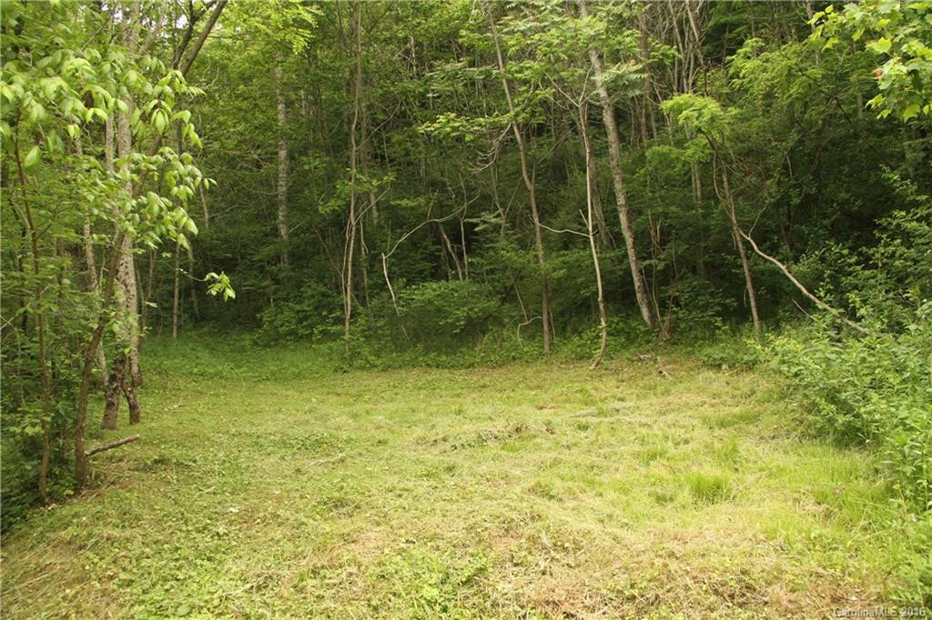 335 Orchard Park Drive - Photo 22