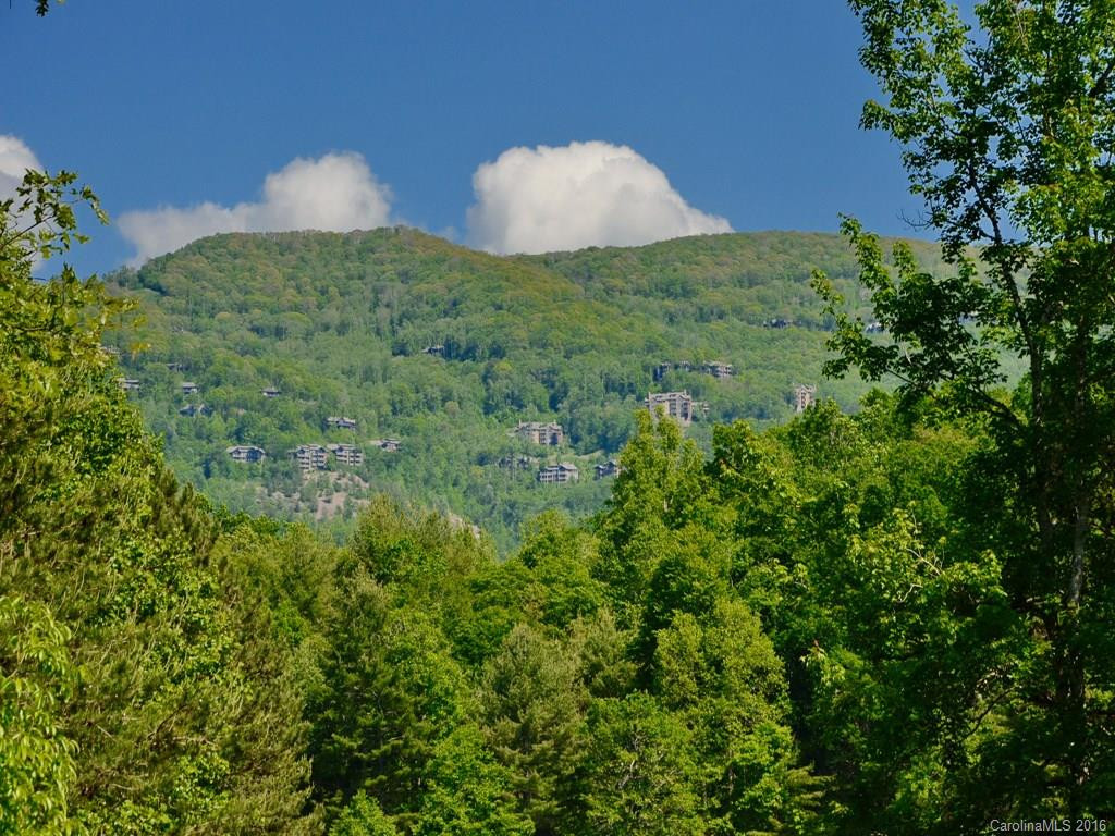 582 Burleson Gap Road - Photo 4