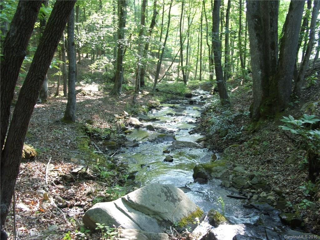 850 Licklog Road - Photo 17