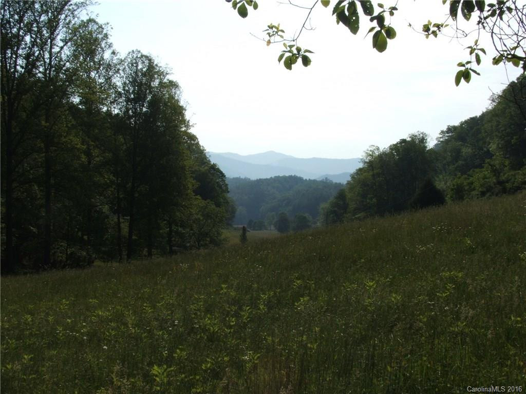 850 Licklog Road - Photo 21