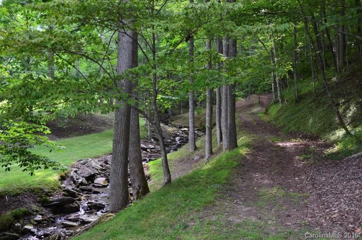 850 Licklog Road - Photo 7