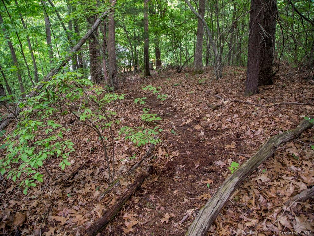 105 Old US 19 23 Highway - Photo 13