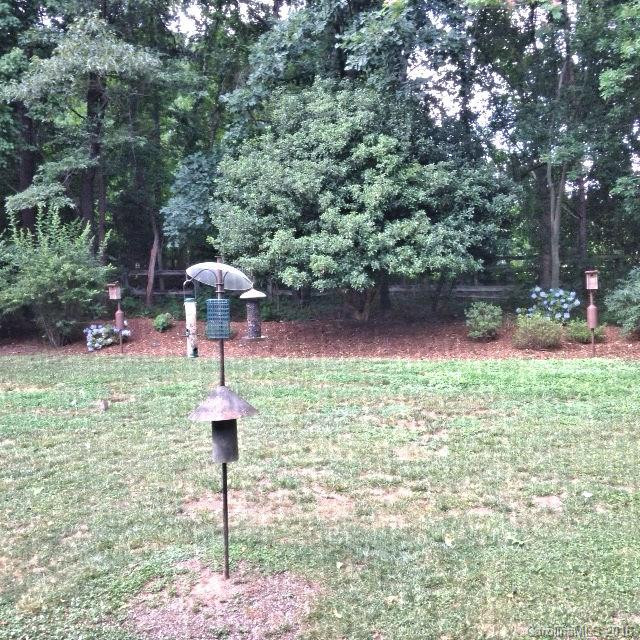 16 Hunting Country Trail #16 - Photo 10