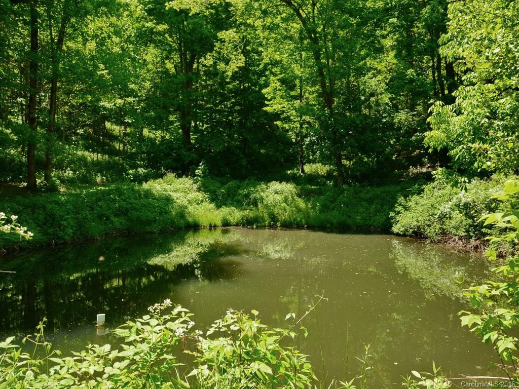 1289 Black Bear Drive - Photo 14