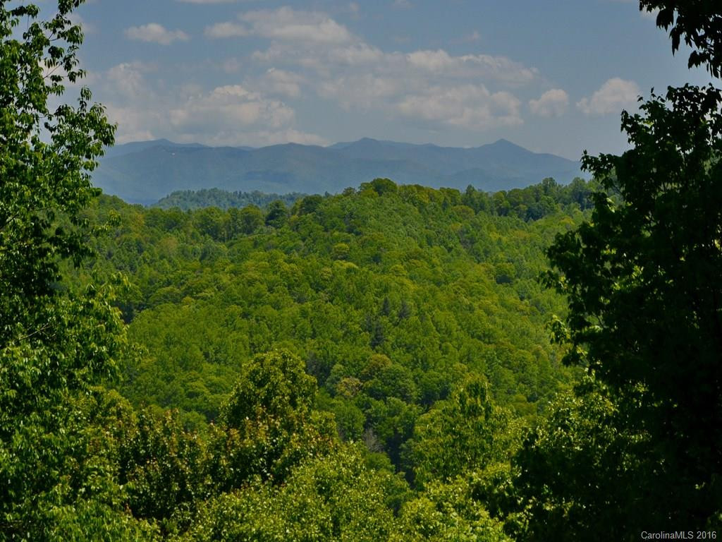 1289 Black Bear Drive - Photo 3