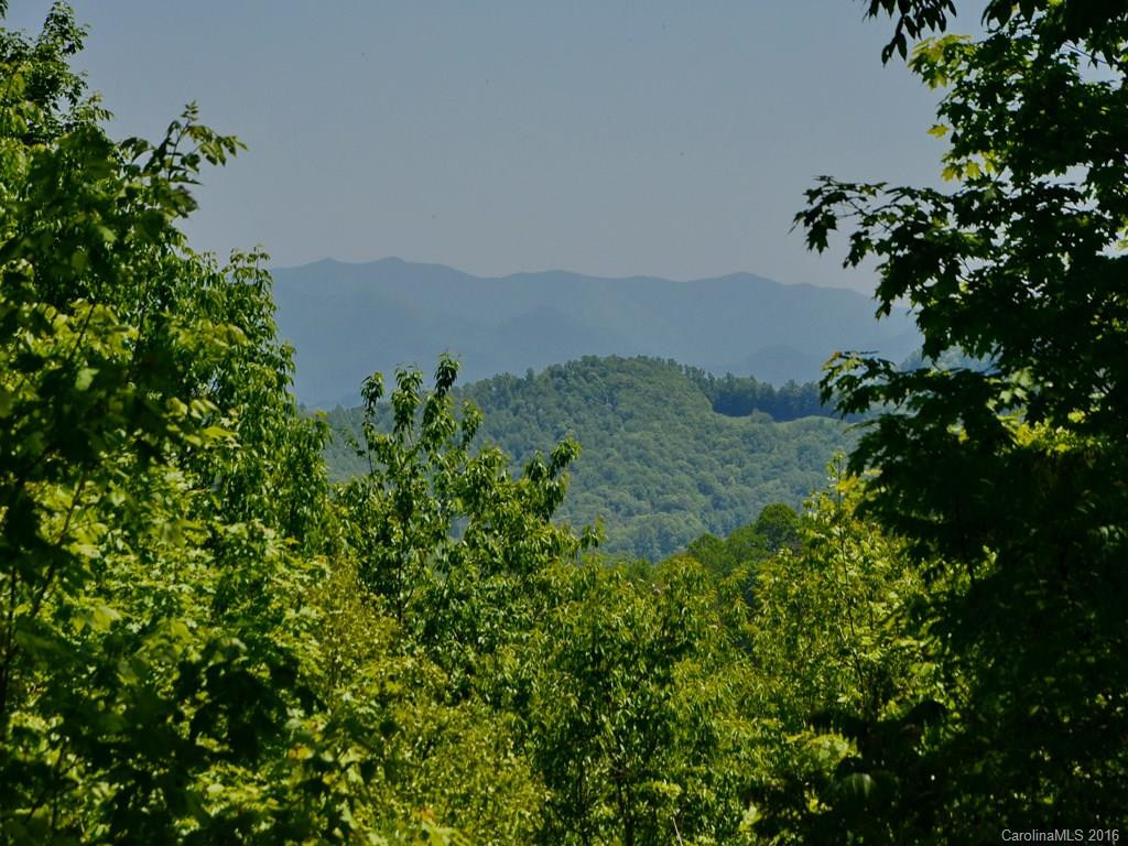 1289 Black Bear Drive - Photo 8