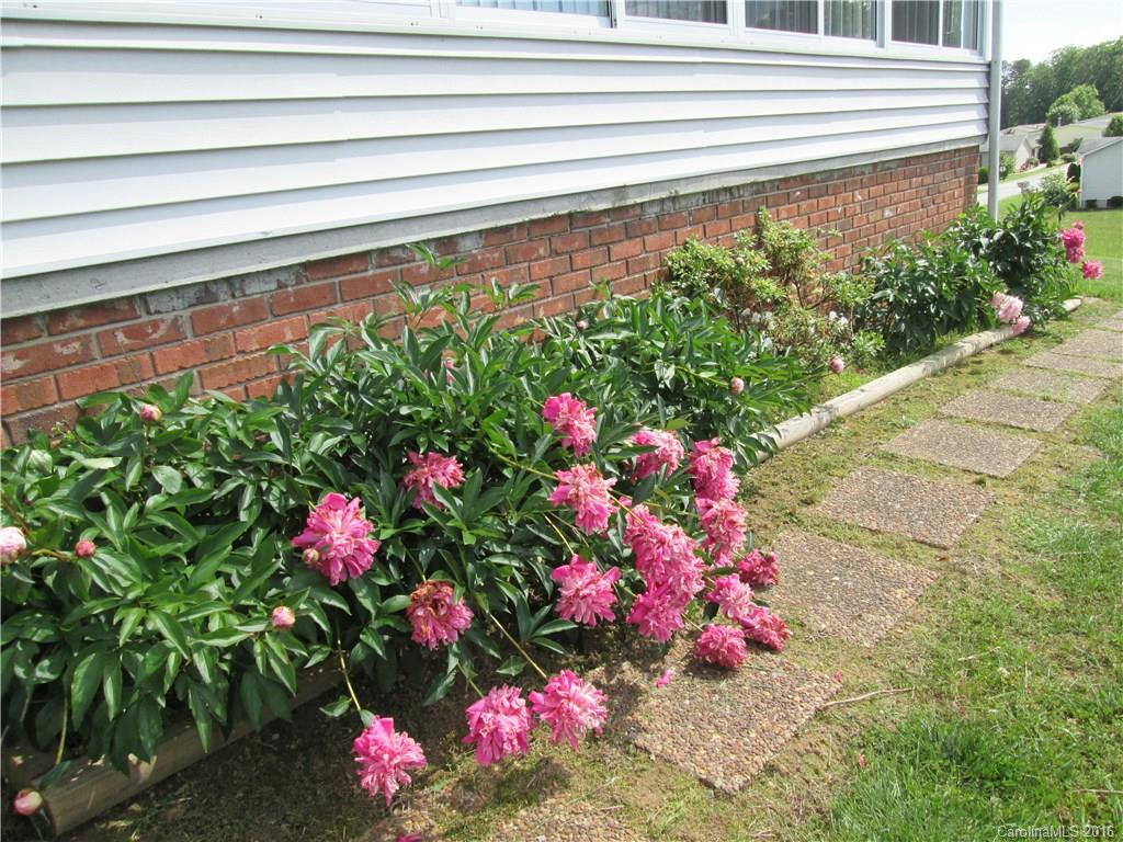 7 Frederick Lane #4 - Photo 24