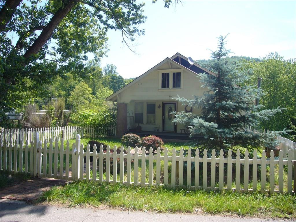 217 Old Weaverville Road - Photo 2