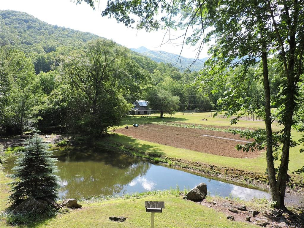 45 Hill Crest Lane #018523 - Photo 6