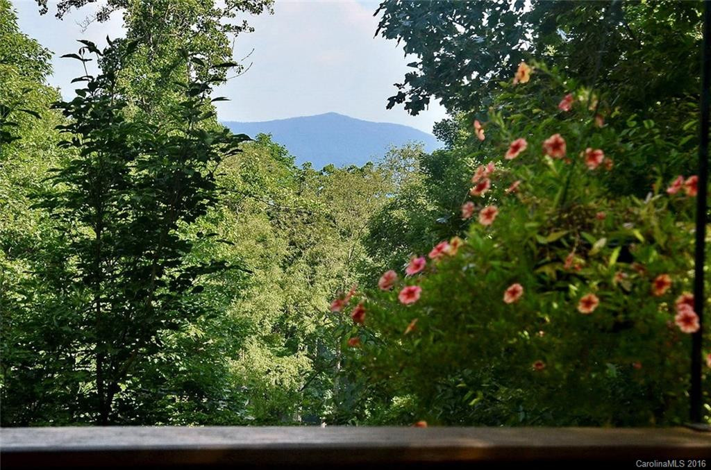 51 Brandy Run Road - Photo 14