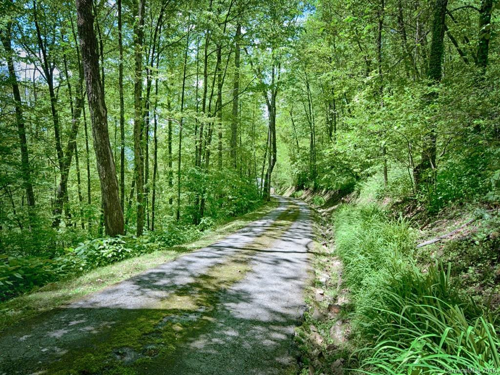 85 Hickory Forest Road - Photo 24