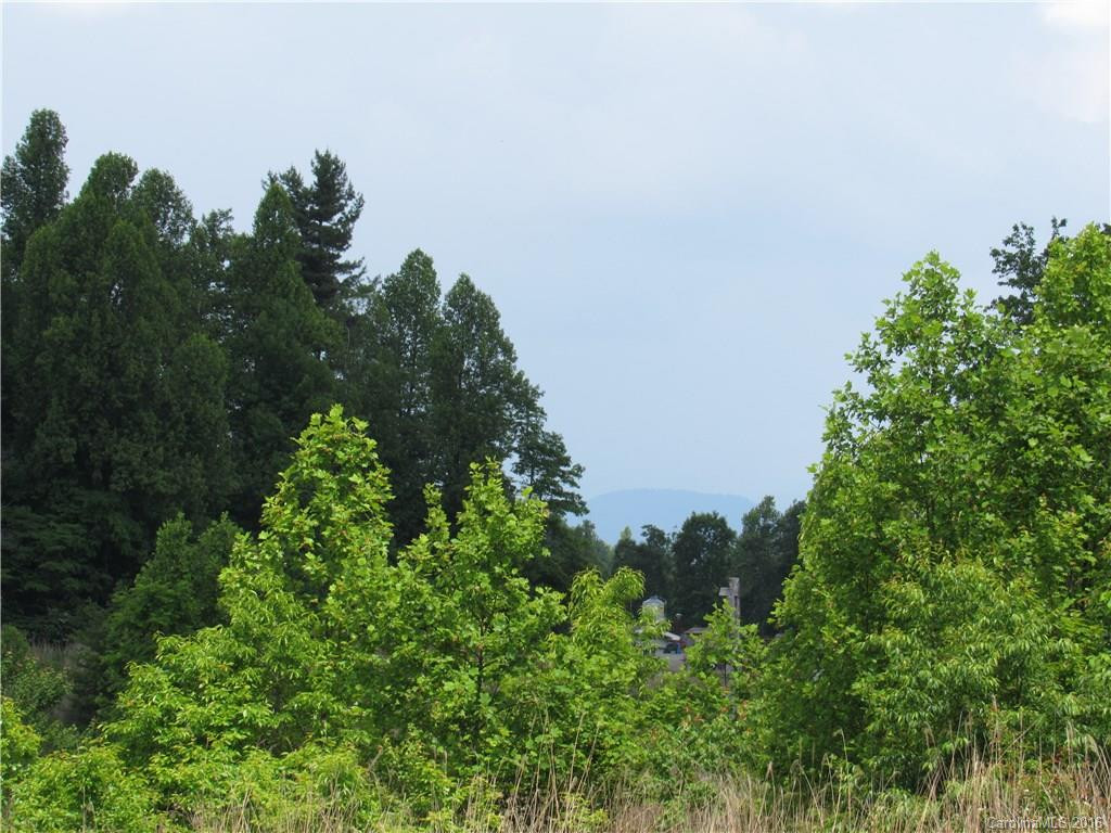 201 Ladybug Lane - Photo 24