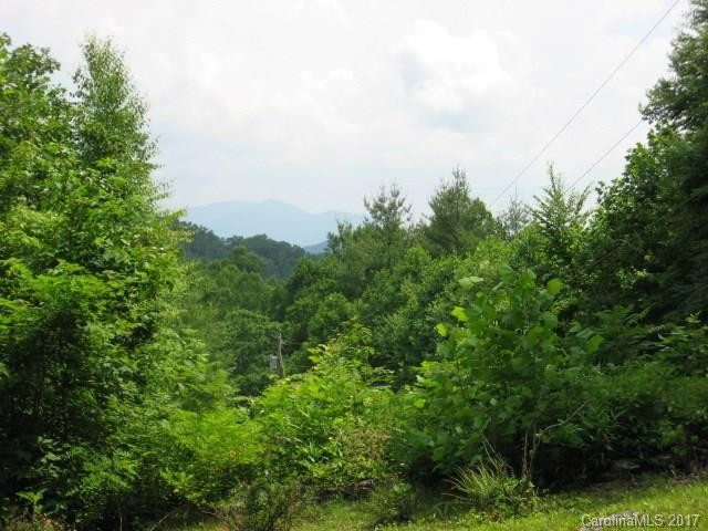 56 Babbling Brook Drive - Photo 13