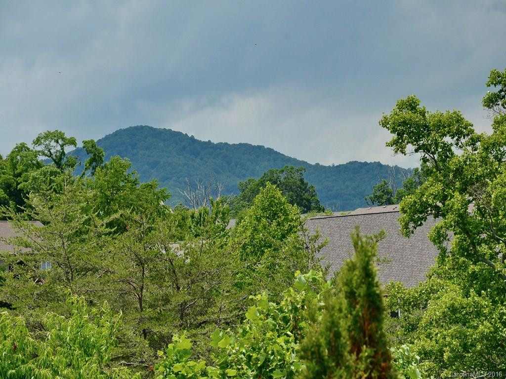 2 Climbing Aster Way - Photo 3