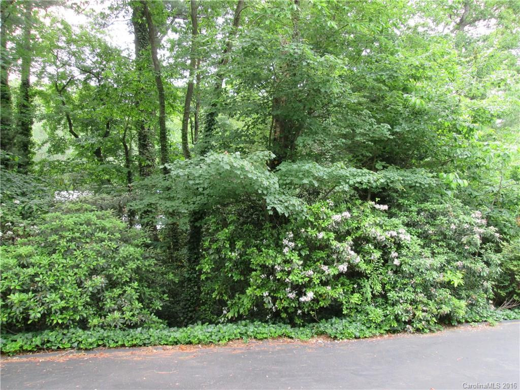 204 Ginseng Lane #115 - Photo 17