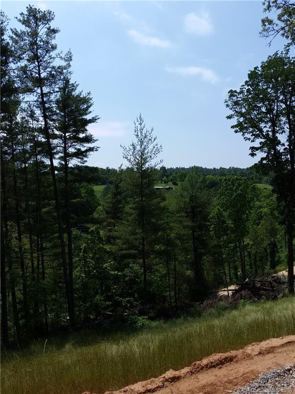 70 Ridge Creek Drive - Photo 10