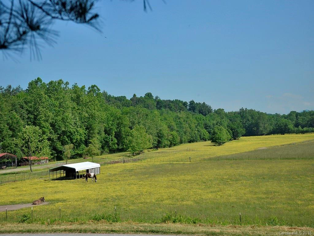 204 Brown Road - Photo 4