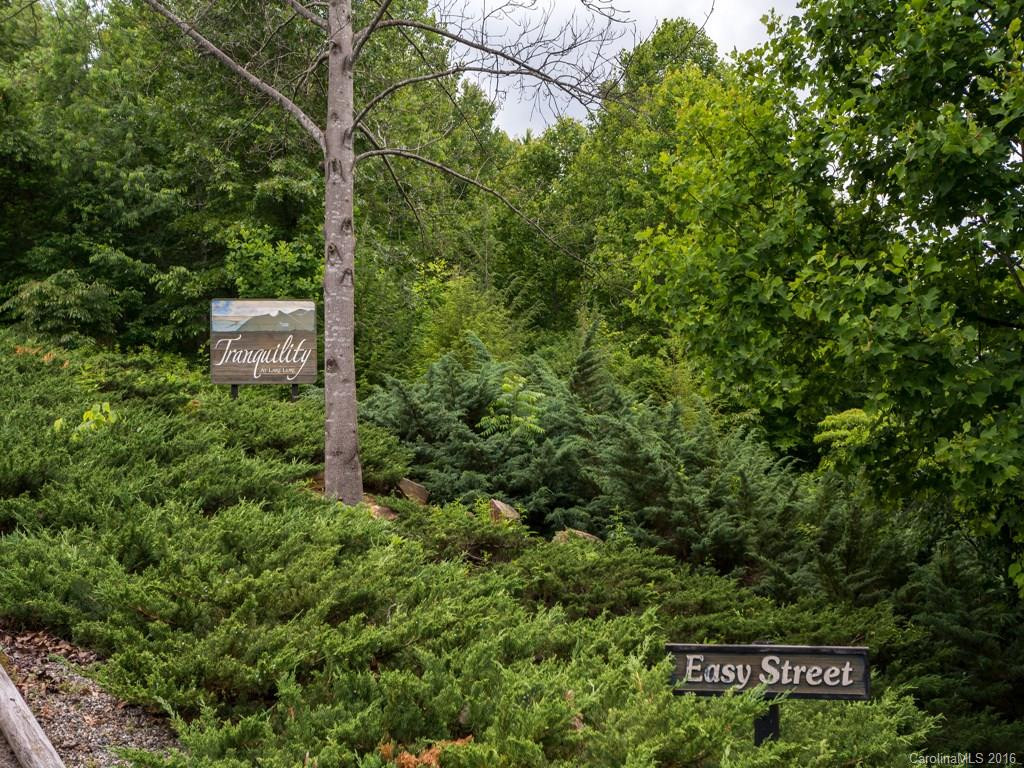 131 Easy Street #19 - Photo 24