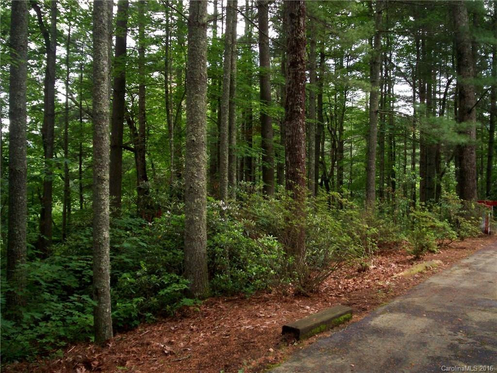 366 Tip Top Road #11 - Photo 17