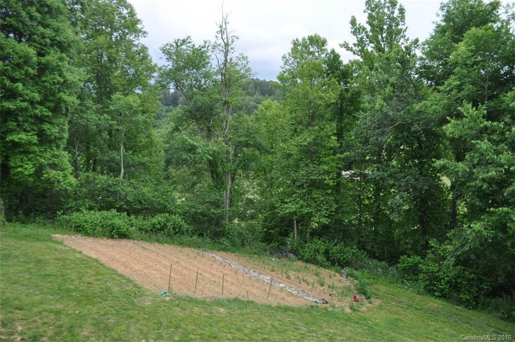 311 Banks Creek Road #3 - Photo 16