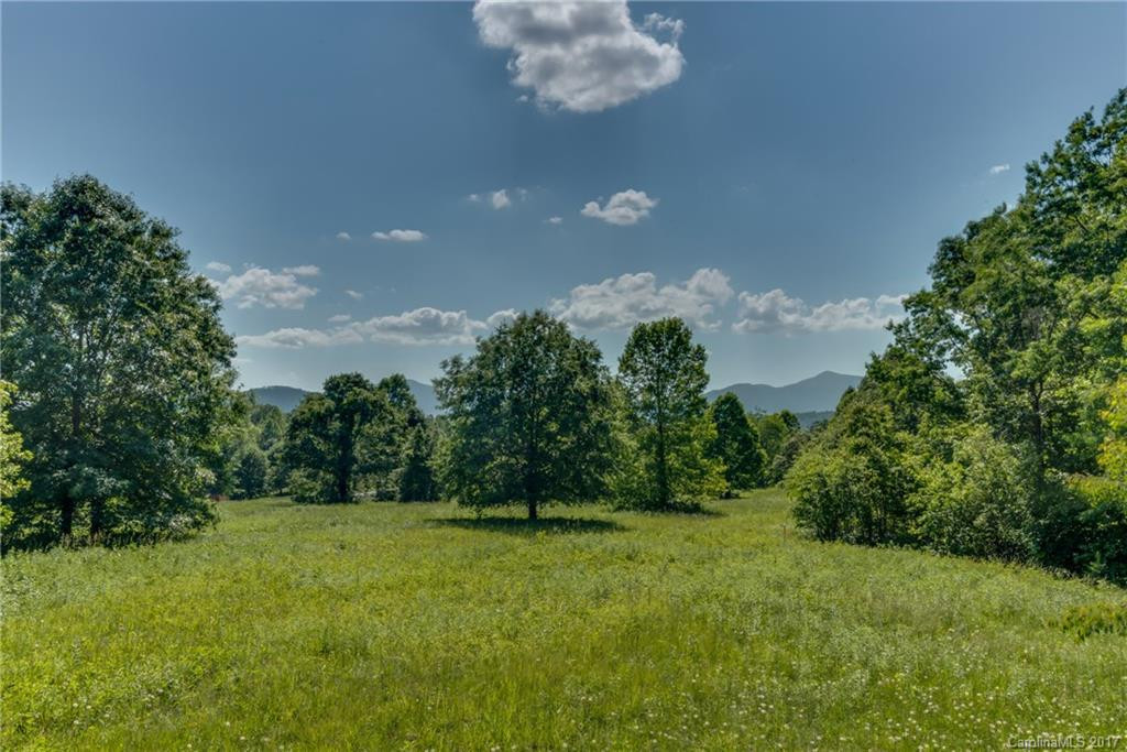 111 Shady Bark Drive - Photo 3