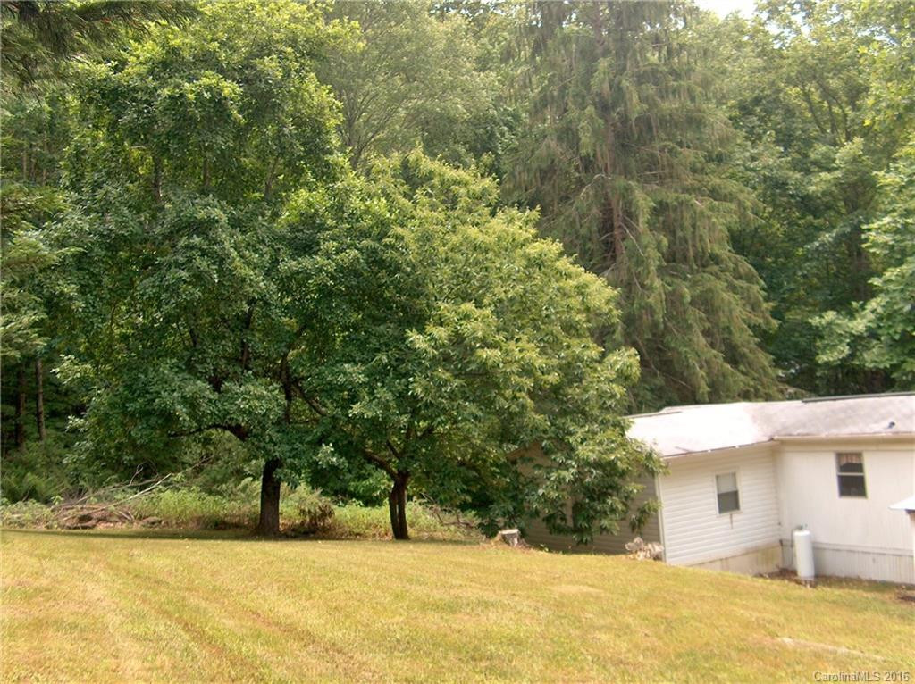 54 Main Trail - Photo 5