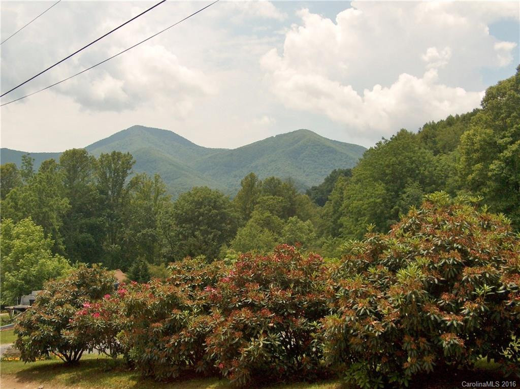 54 Main Trail - Photo 7
