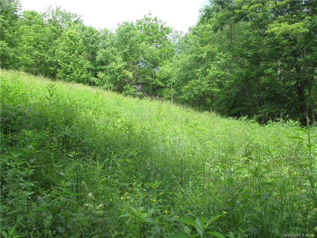 75 Dixie Land Lane - Photo 10