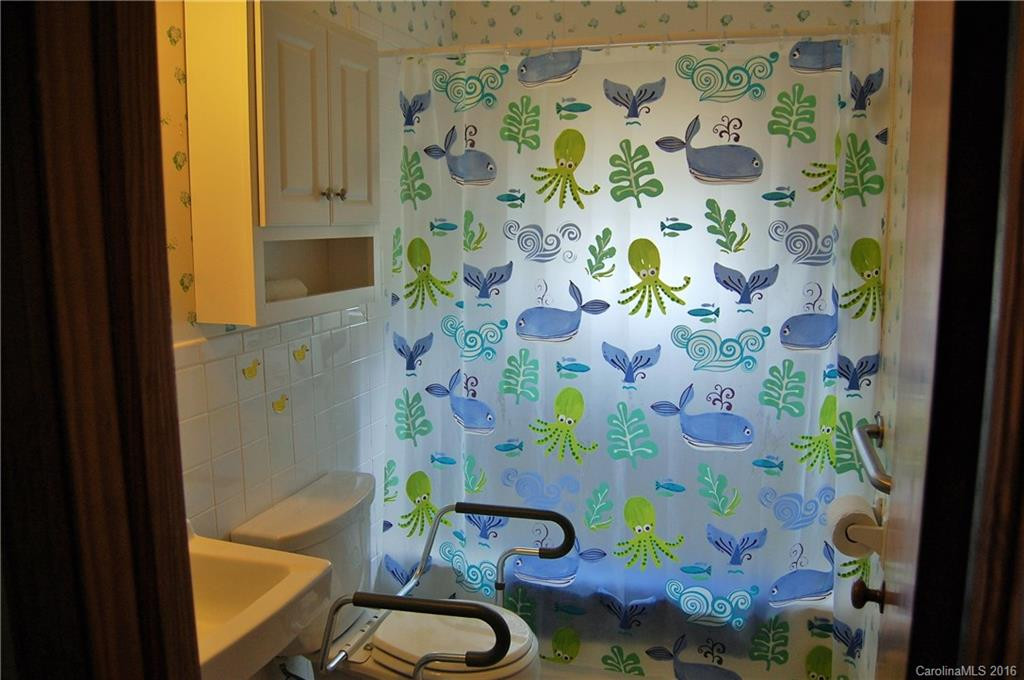 189 Brevard Road - Photo 12