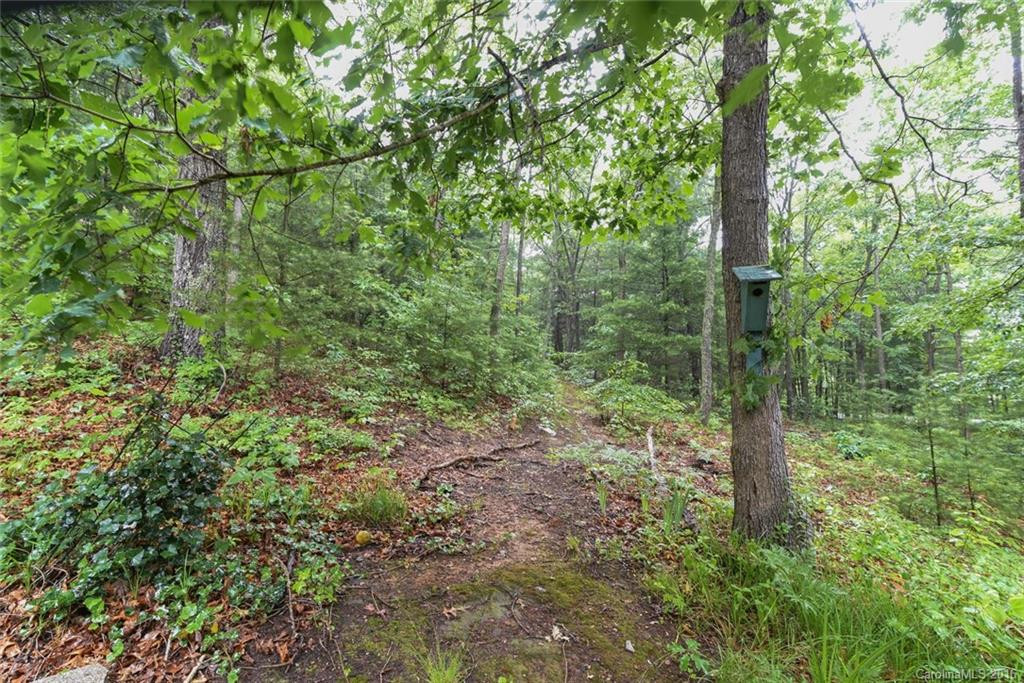 10 Raspberry Ridge - Photo 19