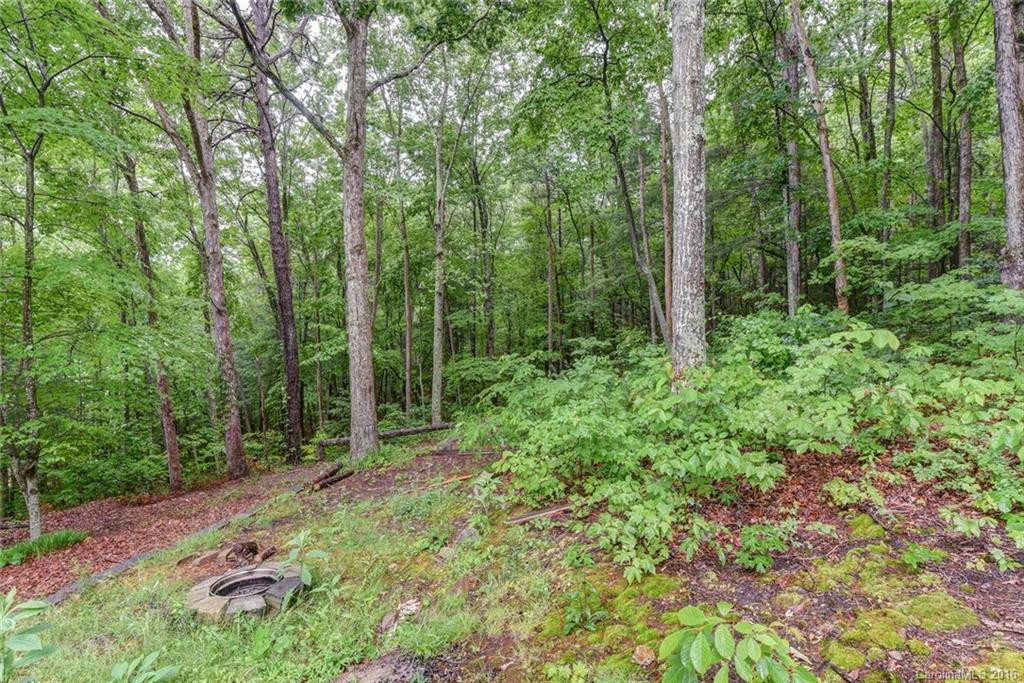 10 Raspberry Ridge - Photo 22