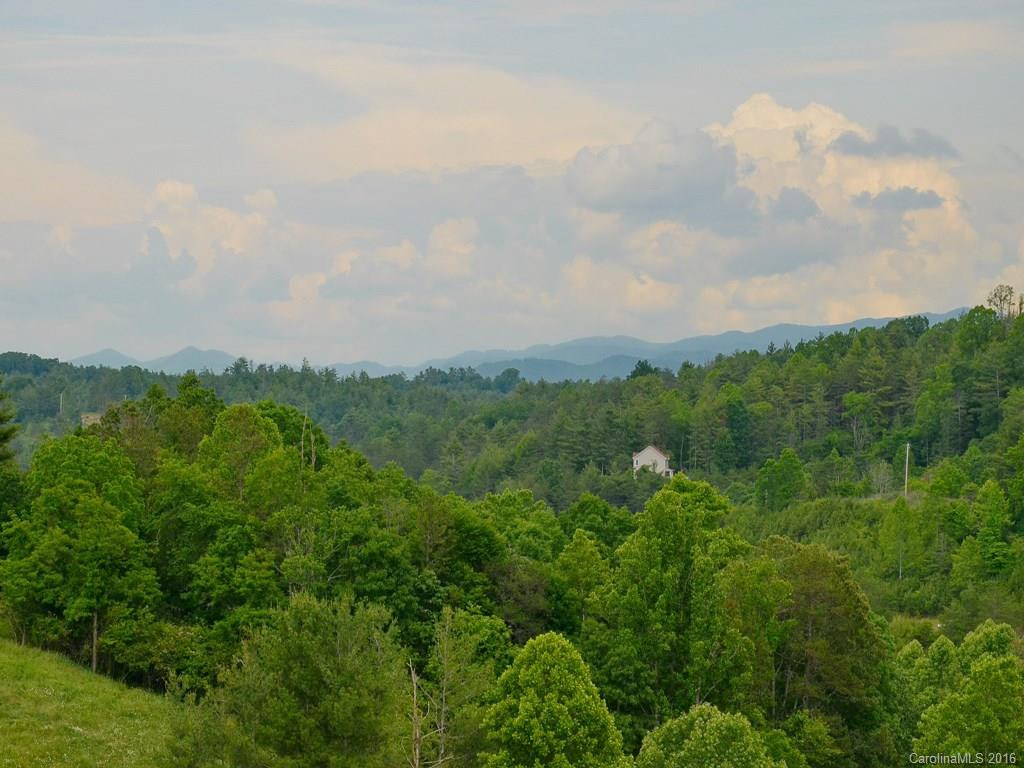 11 Territory Trail - Photo 12