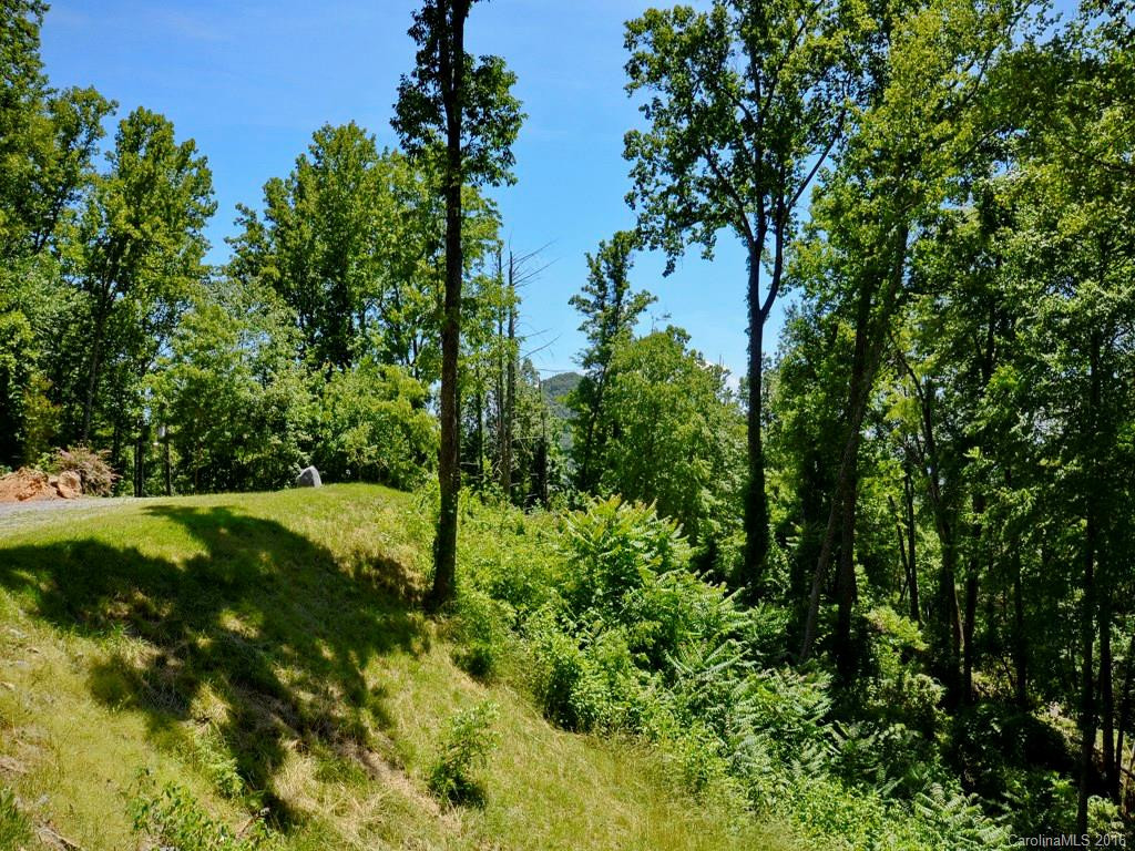 310 Long Branch Road - Photo 16