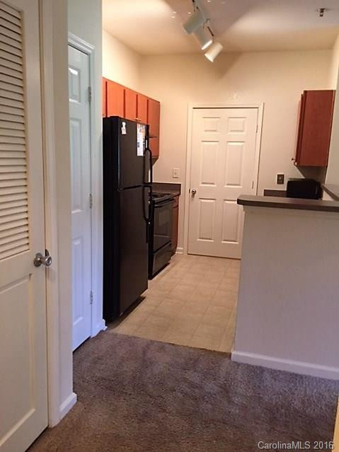 900 Vista Lake Drive #206 - Photo 3